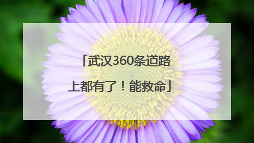 武汉360条道路上都有了！能救命