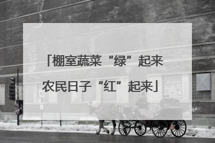 棚室蔬菜“绿”起来 农民日子“红”起来