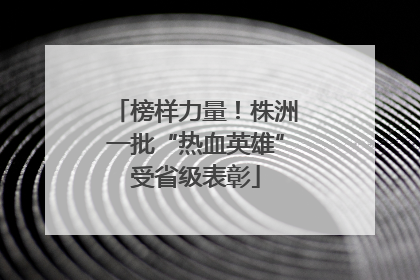 榜样力量！株洲一批“热血英雄”受省级表彰