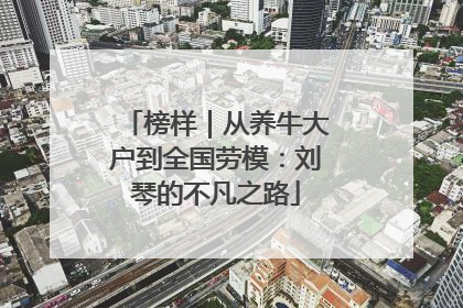 榜样｜从养牛大户到全国劳模：刘琴的不凡之路