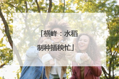 横峰：水稻制种插秧忙
