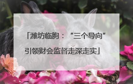 潍坊临朐：“三个导向”引领财会监督走深走实