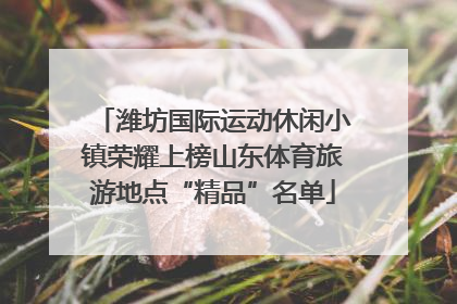 潍坊国际运动休闲小镇荣耀上榜山东体育旅游地点“精品”名单