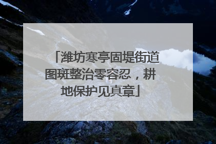 潍坊寒亭固堤街道图斑整治零容忍，耕地保护见真章
