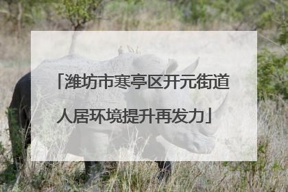 潍坊市寒亭区开元街道人居环境提升再发力