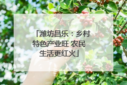 潍坊昌乐：乡村特色产业旺 农民生活更红火