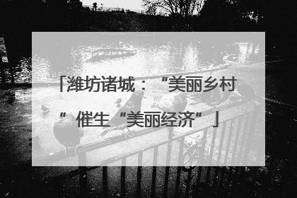 潍坊诸城：“美丽乡村”催生“美丽经济”