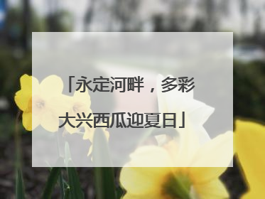 永定河畔，多彩大兴西瓜迎夏日