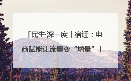 民生·深一度丨宿迁：电商赋能让流量变“增量”
