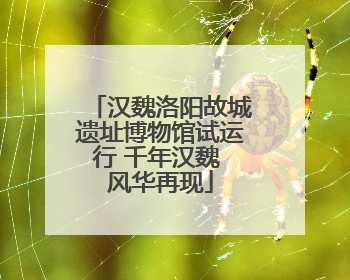 汉魏洛阳故城遗址博物馆试运行 千年汉魏 风华再现