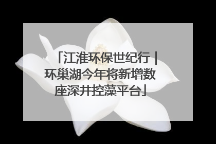 江淮环保世纪行｜环巢湖今年将新增数座深井控藻平台
