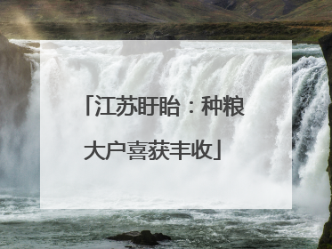 江苏盱眙：种粮大户喜获丰收