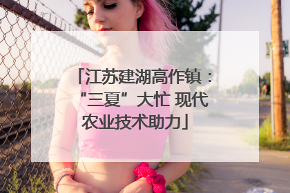 江苏建湖高作镇：“三夏”大忙 现代农业技术助力