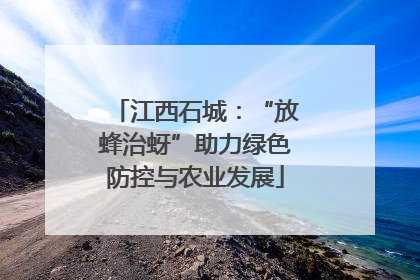 江西石城：“放蜂治蚜”助力绿色防控与农业发展
