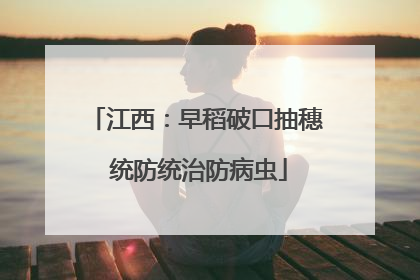 江西：早稻破口抽穗 统防统治防病虫