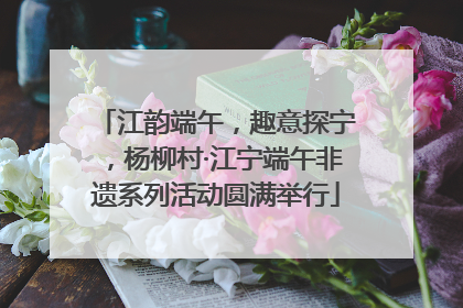 江韵端午，趣意探宁，杨柳村·江宁端午非遗系列活动圆满举行