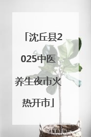 沈丘县2025中医养生夜市火热开市