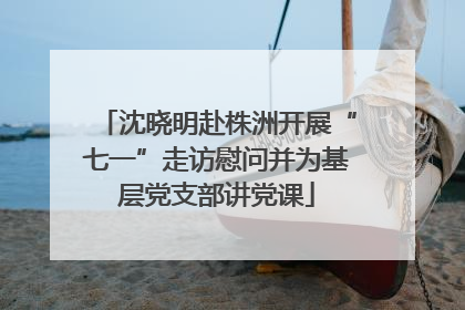 沈晓明赴株洲开展“七一”走访慰问并为基层党支部讲党课