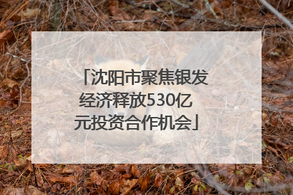 沈阳市聚焦银发经济释放530亿元投资合作机会
