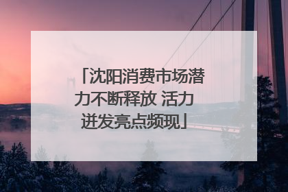 沈阳消费市场潜力不断释放 活力迸发亮点频现