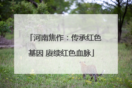 河南焦作：传承红色基因 赓续红色血脉