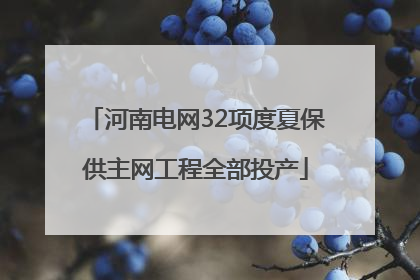 河南电网32项度夏保供主网工程全部投产