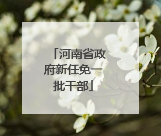 河南省政府新任免一批干部