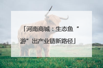 河南商城：生态鱼“游”出产业链新路径
