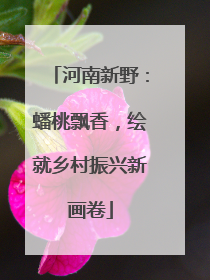河南新野：蟠桃飘香，绘就乡村振兴新画卷