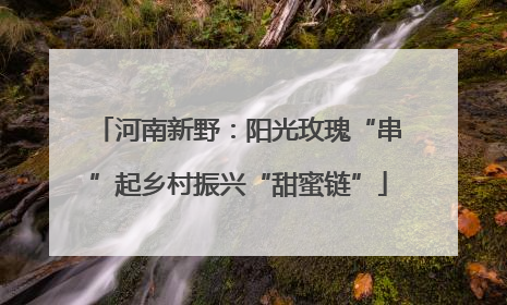 河南新野：阳光玫瑰“串”起乡村振兴“甜蜜链”