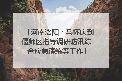 河南洛阳：马怀庆到偃师区指导调研防汛综合应急演练等工作