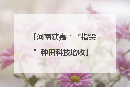 河南获嘉：“指尖”种田科技增收
