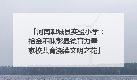 河南郸城县实验小学：拾金不昧彰显德育力量 家校共育浇灌文明之花