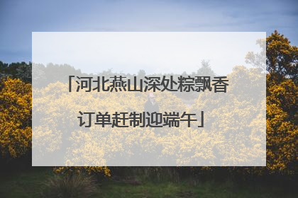 河北燕山深处粽飘香 订单赶制迎端午