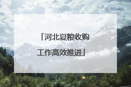 河北夏粮收购工作高效推进