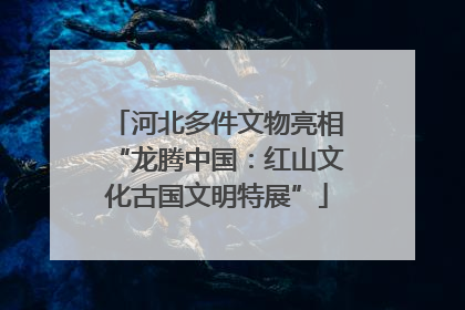 河北多件文物亮相“龙腾中国：红山文化古国文明特展”