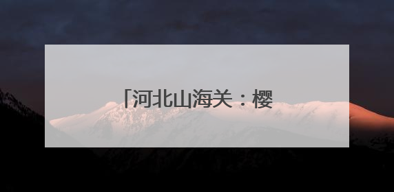 河北山海关：樱桃成熟采摘忙