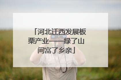 河北迁西发展板栗产业——绿了山间富了乡亲
