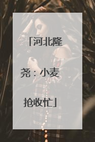 河北隆尧：小麦抢收忙