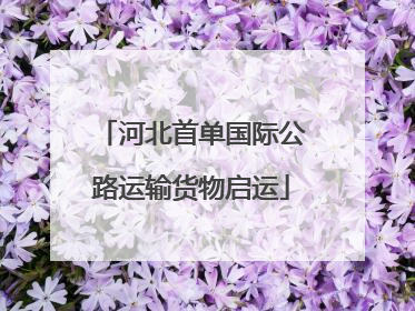 河北首单国际公路运输货物启运
