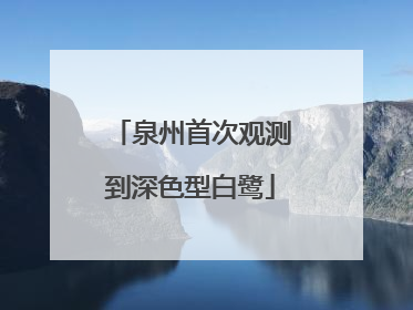 泉州首次观测到深色型白鹭