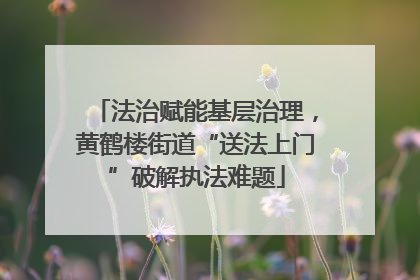 法治赋能基层治理，黄鹤楼街道“送法上门”破解执法难题