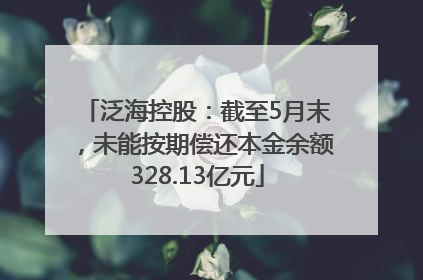 泛海控股：截至5月末，未能按期偿还本金余额328.13亿元