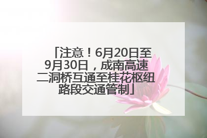 注意！6月20日至9月30日，成南高速二洞桥互通至桂花枢纽路段交通管制