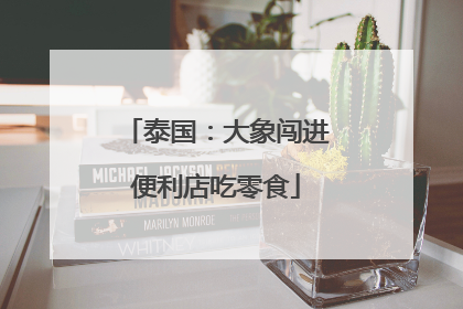 泰国：大象闯进便利店吃零食