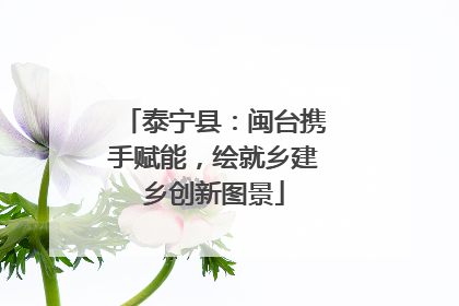 泰宁县：闽台携手赋能，绘就乡建乡创新图景