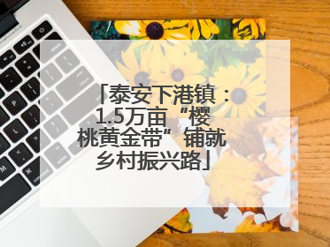 泰安下港镇：1.5万亩“樱桃黄金带”铺就乡村振兴路
