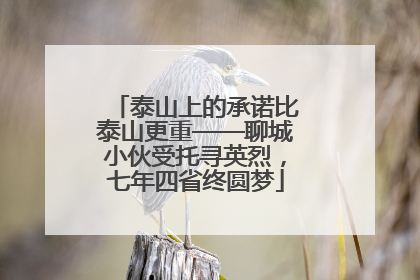 泰山上的承诺比泰山更重——聊城小伙受托寻英烈，七年四省终圆梦