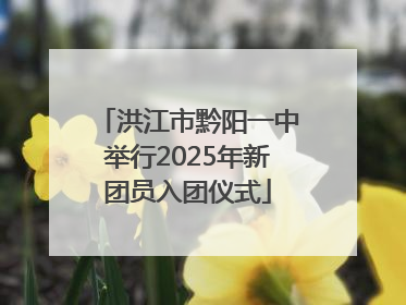 洪江市黔阳一中举行2025年新团员入团仪式