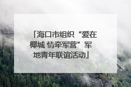 海口市组织“爱在椰城 情牵军营”军地青年联谊活动